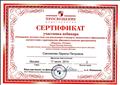 Сертификат участника вебинара "Оснащение детского сада для реализации стандарта дошкольного образования в соответствии с примерными образовательными программами "Радуга", "Успех".